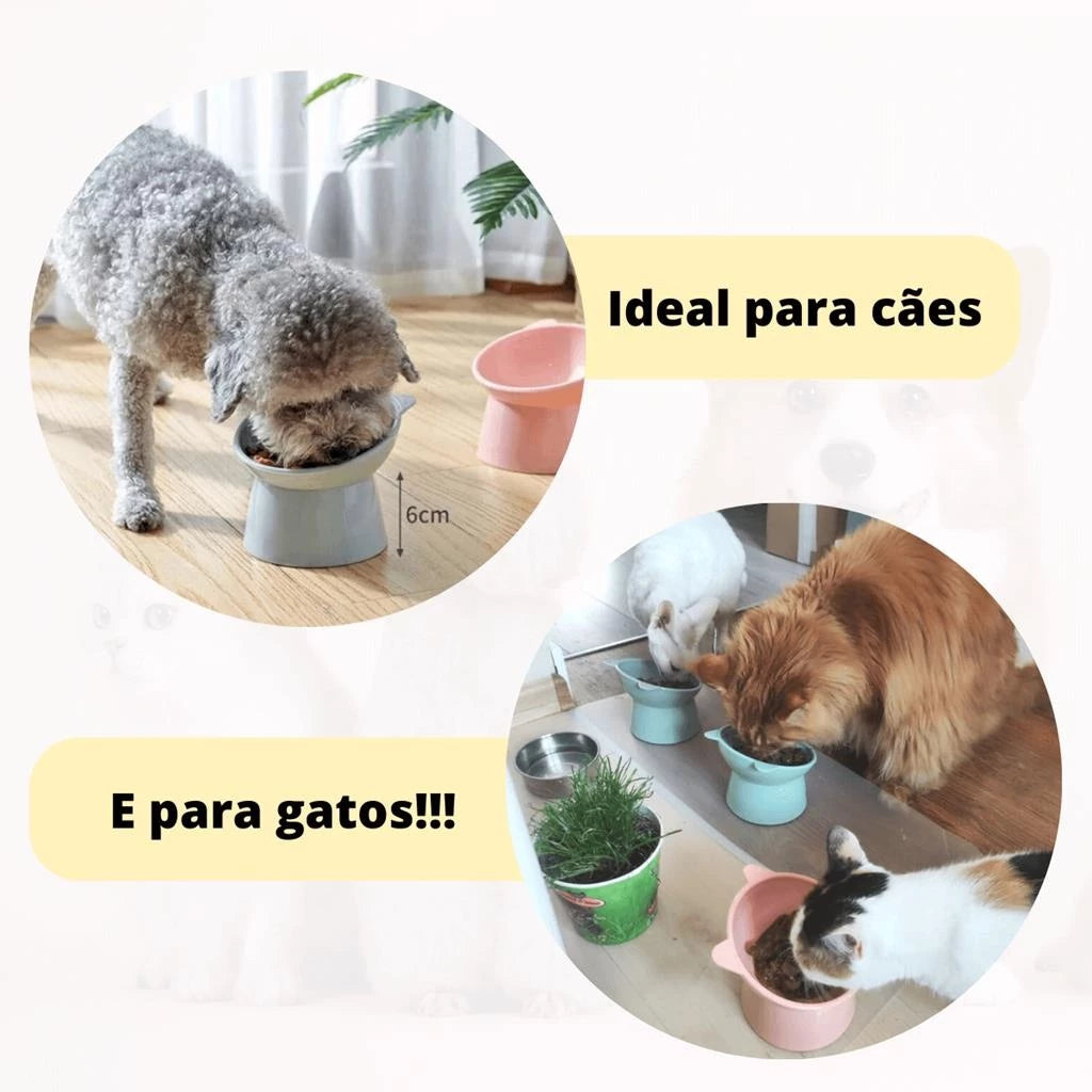 Comedouro Bebedouro Gatinho Elevado Postura correta