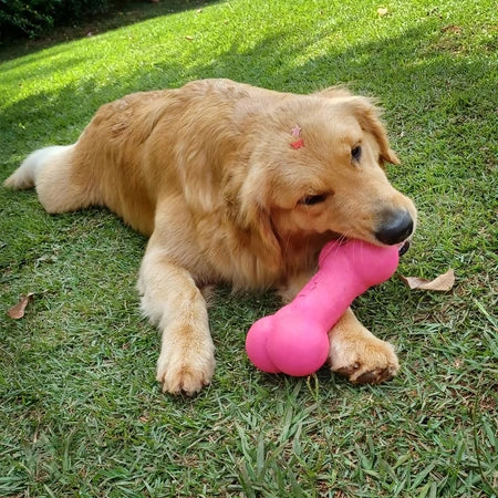 Brinquedo Cachorro Grande Ossinho Borracha