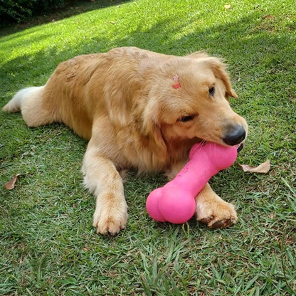 Brinquedo Cachorro Grande Ossinho Borracha